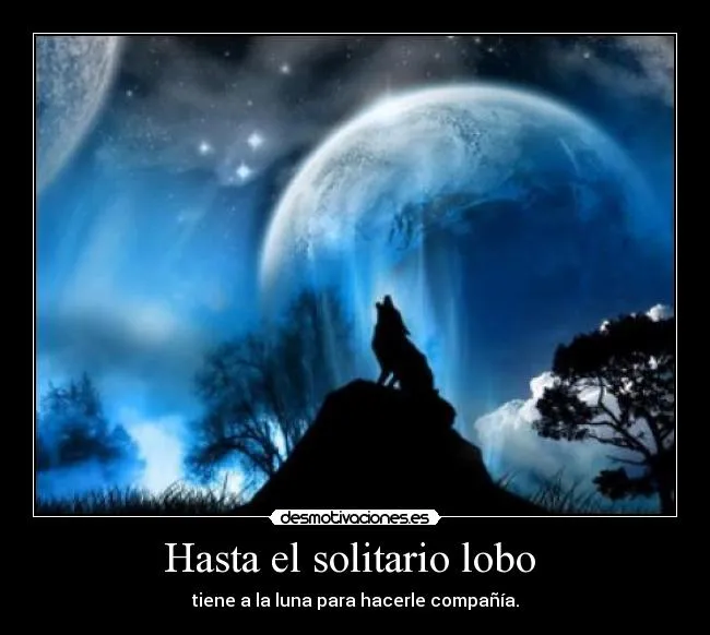 Hasta el solitario lobo | Desmotivaciones