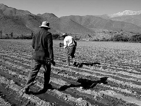 Solitary Dog Sculptor I: Cachi - Salta province - Argentina ...