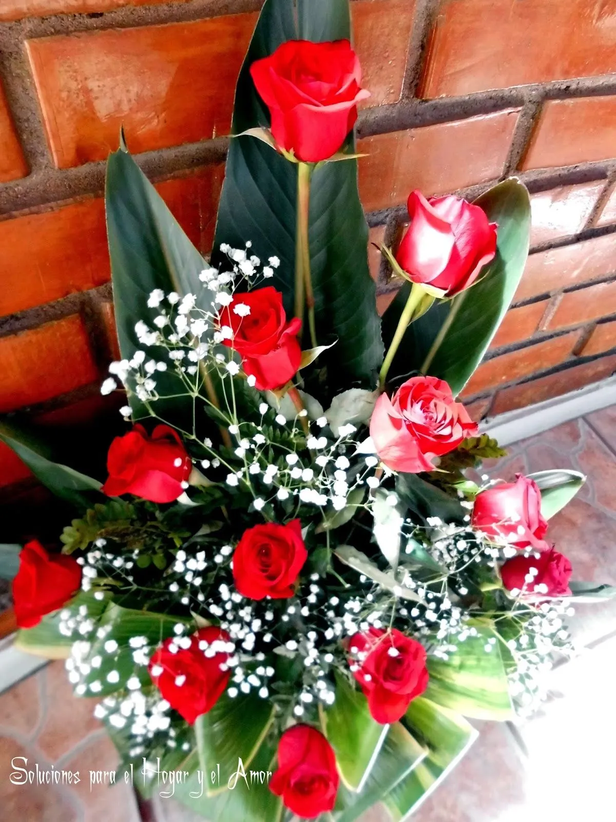 Soluciones para el Hogar y el Amor: Rosas Rojas, Flores de Ruda ...