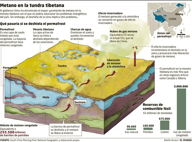 La sombra del asno: Ciencia