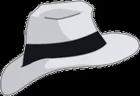 Sombrero blanco.png