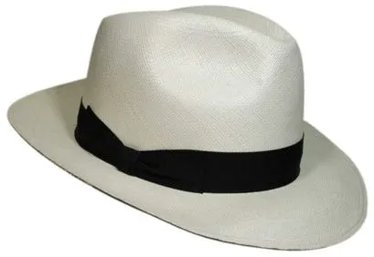 Sombreros moda masculina