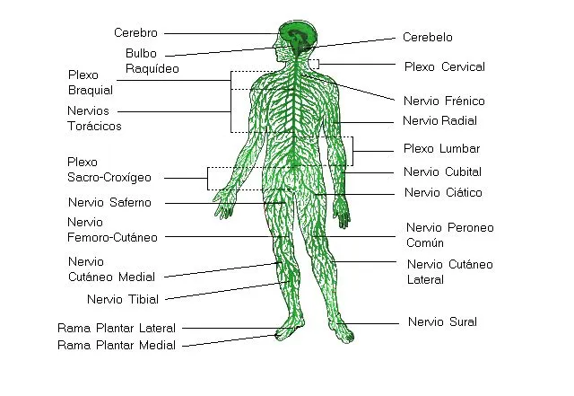 Quiénes somos? « Oldcivilizations's Blog
