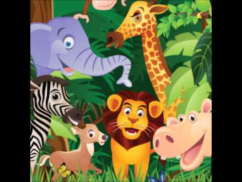 Sonidos de la jungla para niños - YouTube