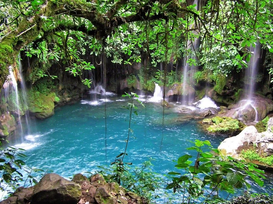 LOS SONIDOS DE LA NAURALEZA: PAISAJES PARADISIACOS