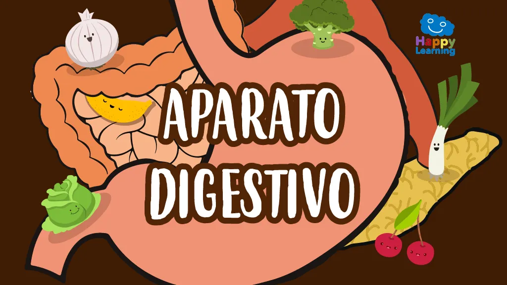 Sopa de Letras: El Aparato Digestivo - Juegos para Niños | Happy Learning