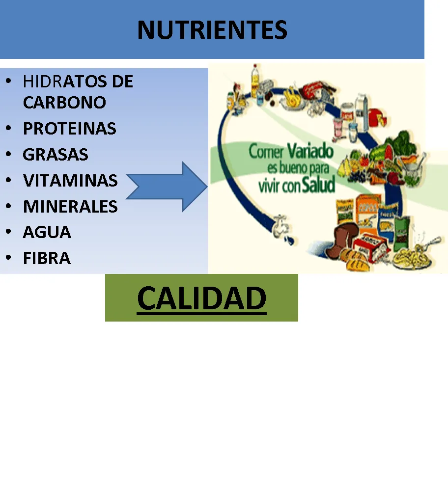 SOPESAR: OVALO NUTRICIONAL