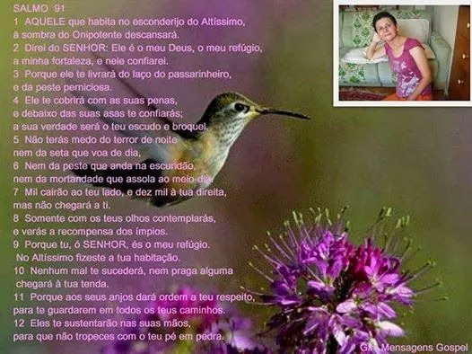 Sou de varzea alegre: Maio 2014