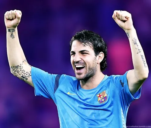 sports: Cesc Fabregas Profile and Photos/Images 2012