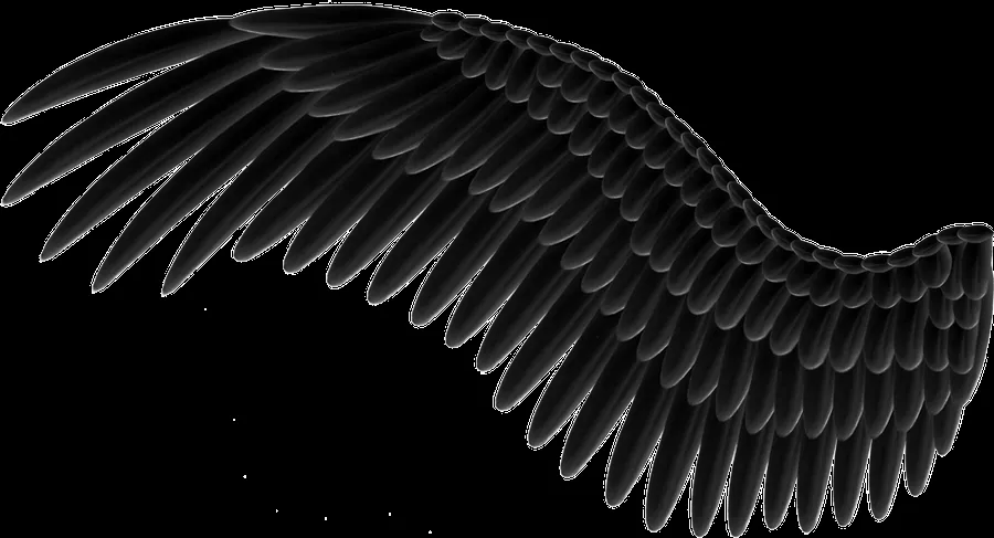 Spread Black Wings PNG by Thy-Darkest-Hour on DeviantArt