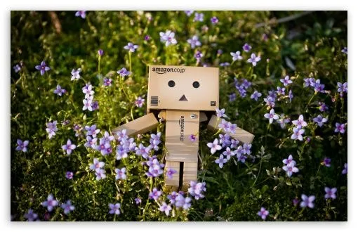 Spring Danbo HD desktop wallpaper : Widescreen : High Definition