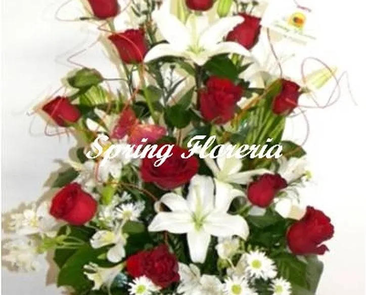 Spring Floreria | 14 DE FEBRERO