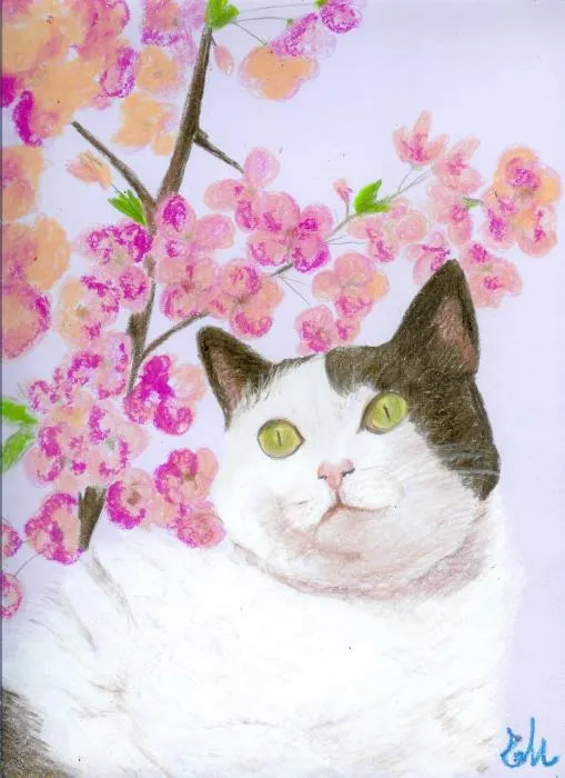 Spring Kitty Pastel by Elena Malec - Spring Kitty Fine Art Prints ...