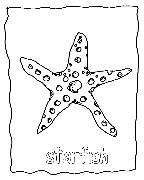 Star Fish Coloring Pages | Download Coloring Page