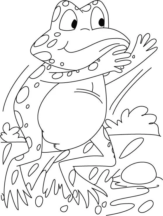 Startling frog coloring pages | Download Free Startling frog ...