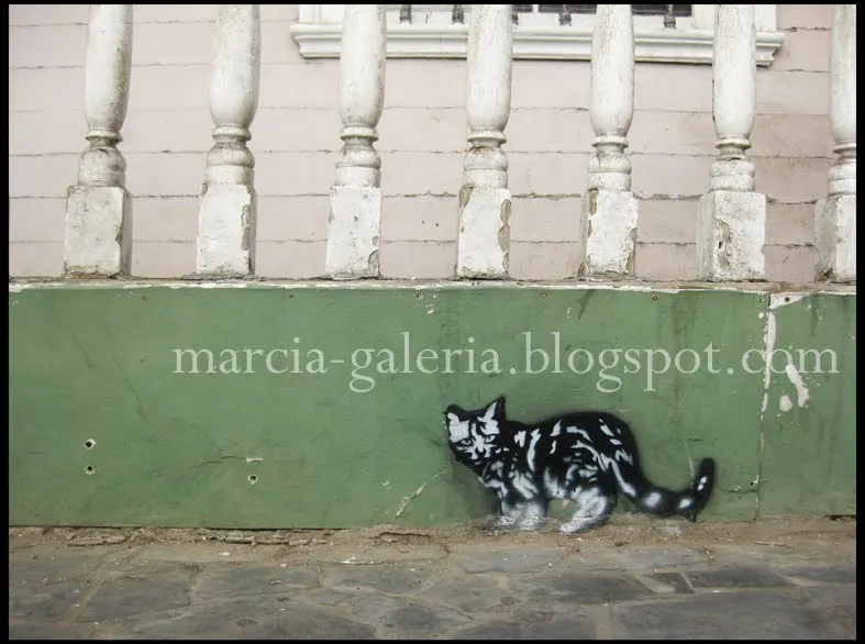 Fotogatolería: Gato Stencil