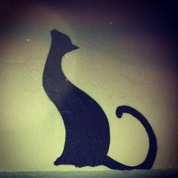 thetoastmaker • I walked pass a black cat last night. Can I give...