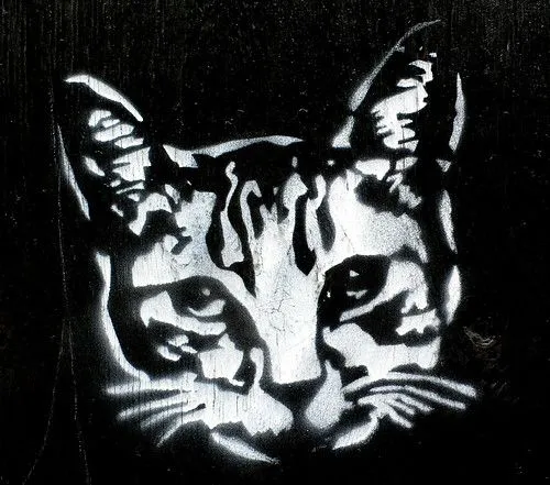 Stencil Kitty | Flickr - Photo Sharing!