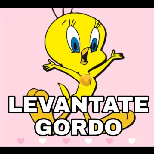 Sticker Maker - Piolin Frases Negativas