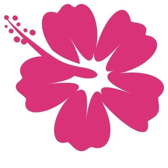 Stickers Fleur Hibiscus Hawai Rose - Achat / Vente stickers ...