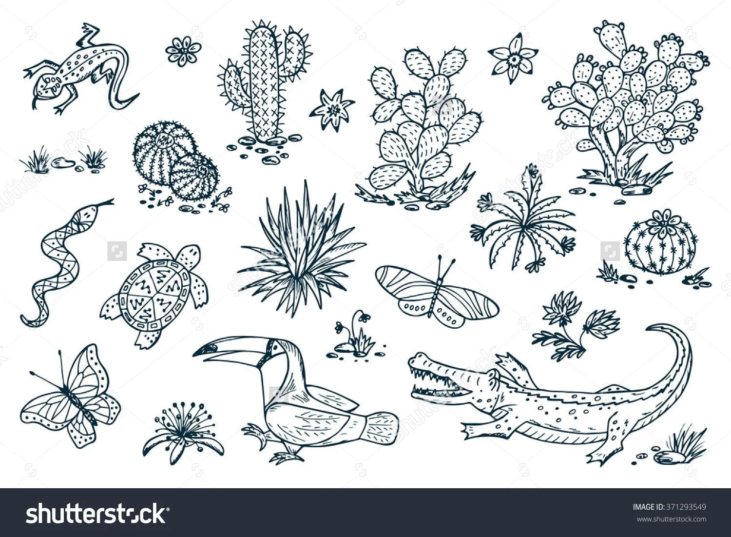 stock-vector-mexico-vector-set-mexican-flora-and-fauna-nature-of-mexico-plants-and-animals-hand-drawn-3712…  | Dibujo de flora y fauna, Fauna, Animales para imprimir