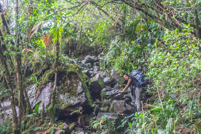 Subir el tepuy Roraima, lo que cuesta y lo que encuentras