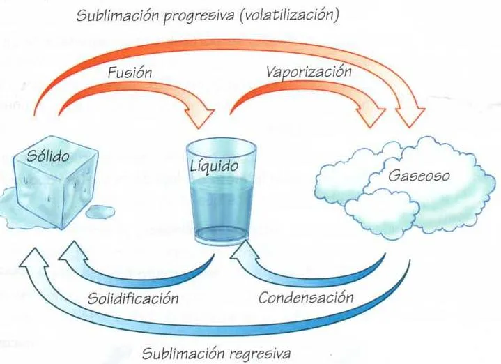 LOS ESTADOS DE LA MATERIA Y SUS CAMBIOS - LA MATERIA