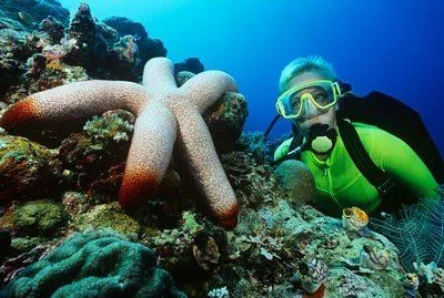 submarinismo en Alicante en el fondo del mar