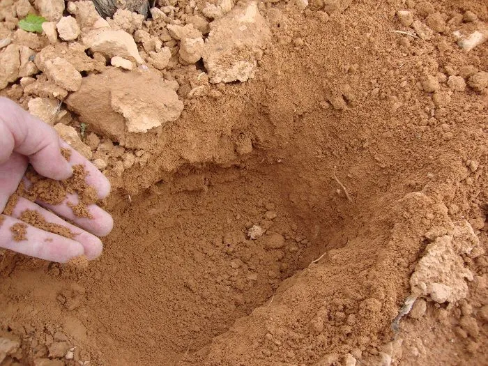 Los suelos en Casa Castillo y sus vinos de terruño | El Eco de Jumilla