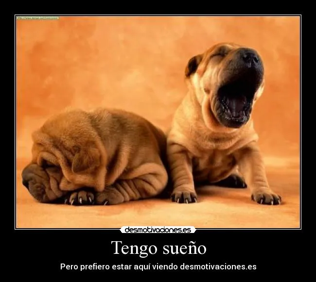 Tengo sueño | Desmotivaciones