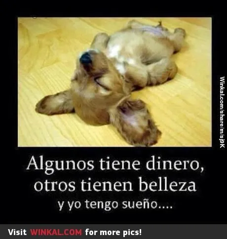 Yo tambien tengo sueño | Imagenes graciosas | Pinterest