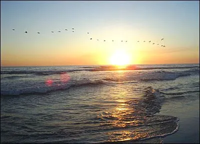 Sueños de Aire Azul.: MÚSICA Y MAR