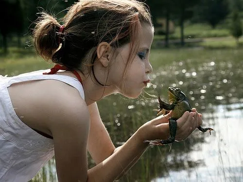 Sueños de Amor en Gagitos: Sapos Gordos y Feos