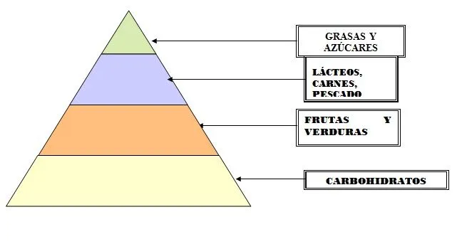 supernovaces: LA FUNCION DE LA NUTRICION: DIGESTION