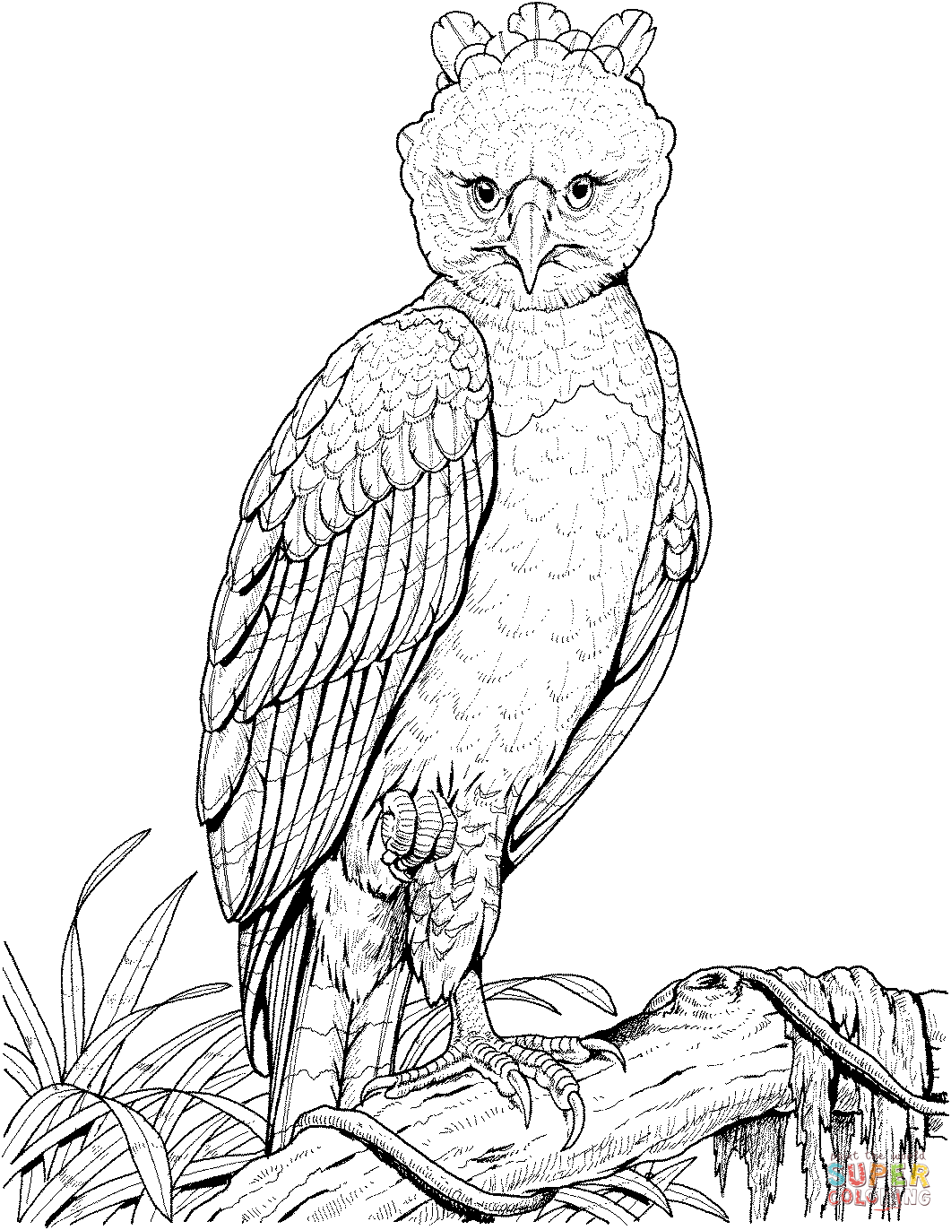 surprise Mavel Colouring Pages (page 2)