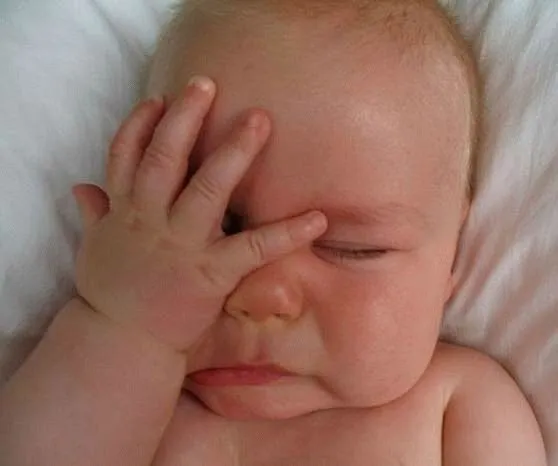 Susan Urban | Imagenes | Page 40