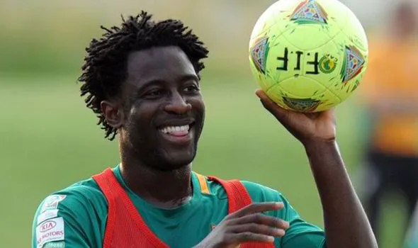 Swansea signing Wilfried Bony: I'm the new Didier Drogba ...