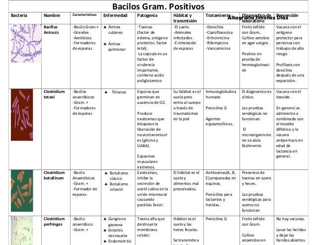 Tabla de bacterias Gram positivas y Gram negativas de Importancia me…