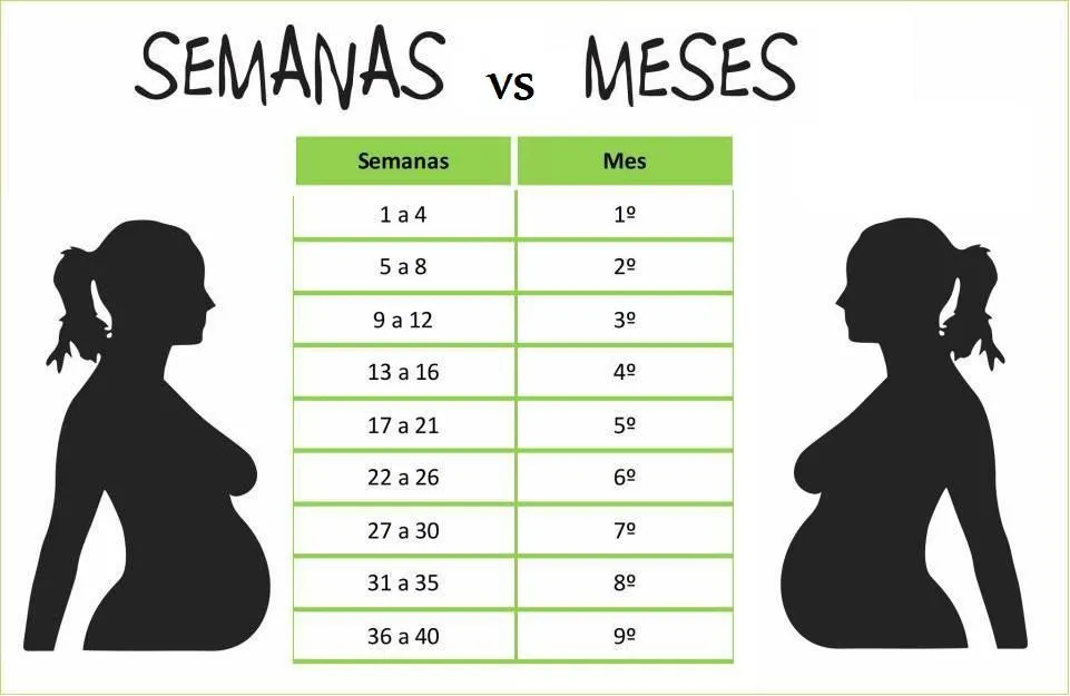 Tabla: SEMANAS de embarazo 'Vs' MESES de embarazo | Embarazo-