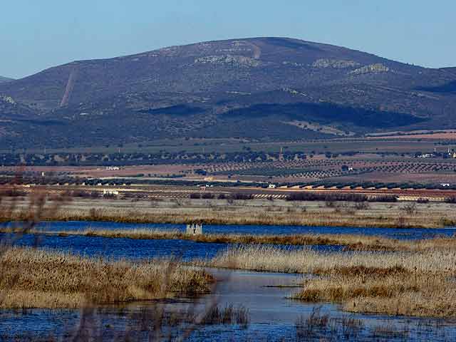 Las Tablas de Daimiel, paraíso de la biodiversidad - RTVE.