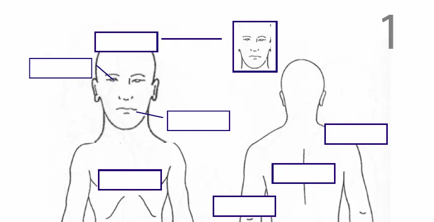 tachdityhygi blog: partes del cuerpo humano