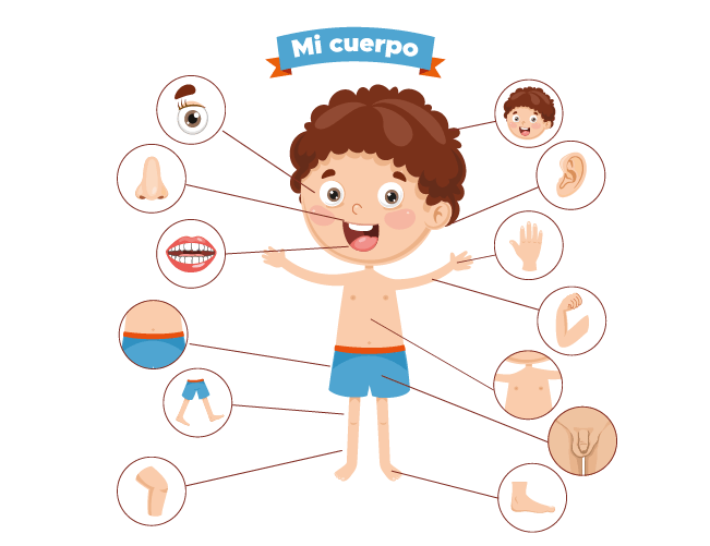 Taller de autocuidado del cuerpo para niños