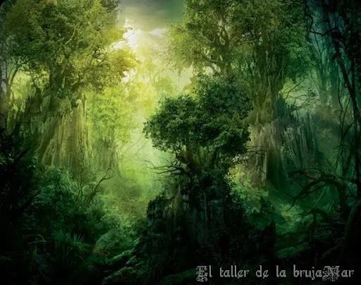 El taller de la brujaMar: Bosques oscuros para fondo