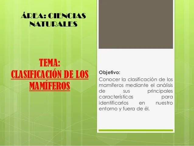 Taller 2 clasificacion de los mamiferos