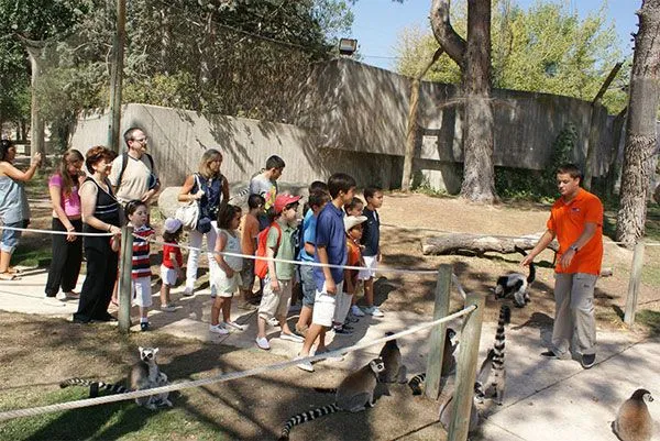 Talleres para niños 2013 en el Zoo Aquarium de Madrid