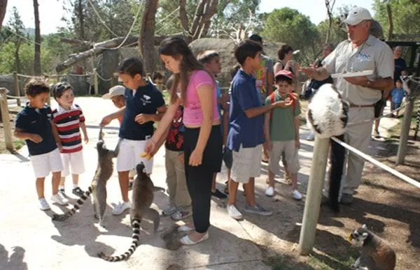 Talleres para niños 2013 en el Zoo Aquarium de Madrid