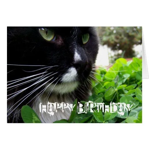 Tarjeta blanco y negro del feliz cumpleaños del ga de Zazzle.