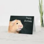 Tarjeta de cumpleaños inquisitiva de las ovejas de Zazzle.es