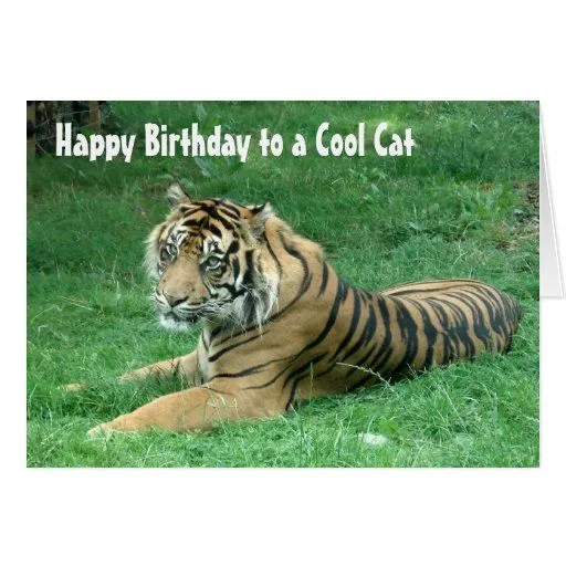 Tarjeta de cumpleaños del tigre de las rayas negra de Zazzle.