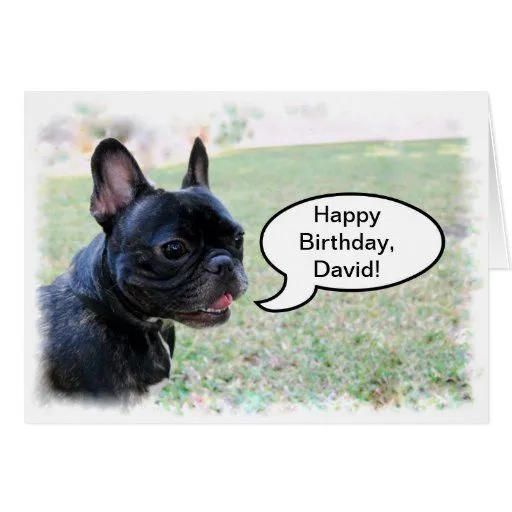 Tarjeta del dogo francés de David del feliz cumple | Zazzle